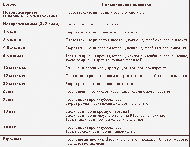 Прививки детям в каком возрасте. Вакцинация детей первого года жизни. Прививки первого года жизни ребенка. Список когда делать прививку детям. Прививки людям по возрасту.